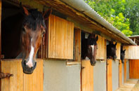 free Park Royal stable construction quotes
